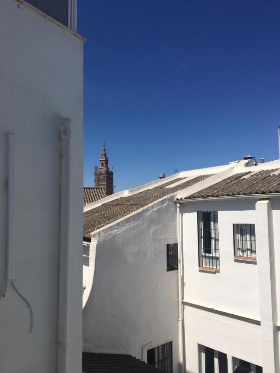 Apartamento de 1 dormitorio - Calle Federico Rubio, 8